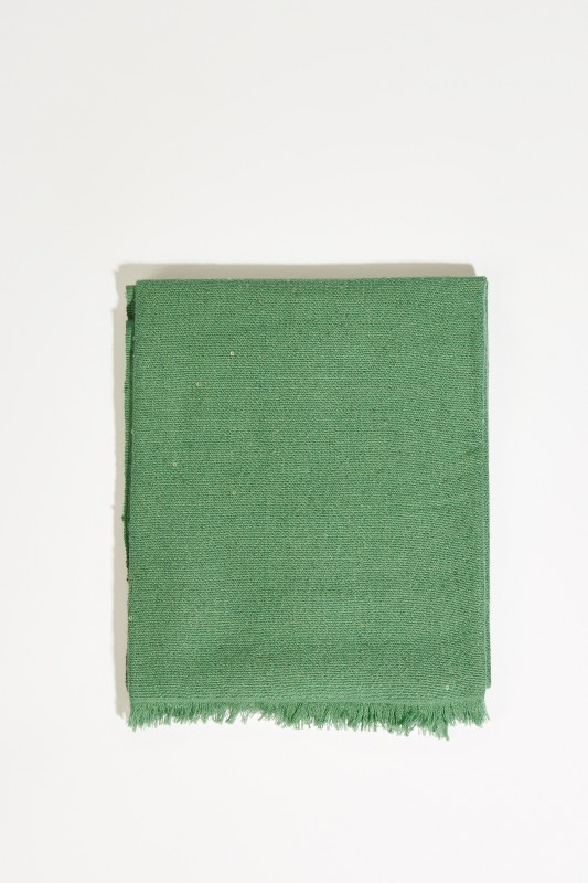 Cashmere-Seiden-Schal mit Paillettenverzierung Grün